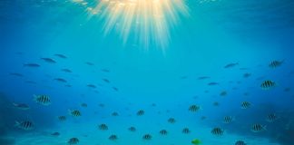Blue economy: un impegno ma anche una risorsa